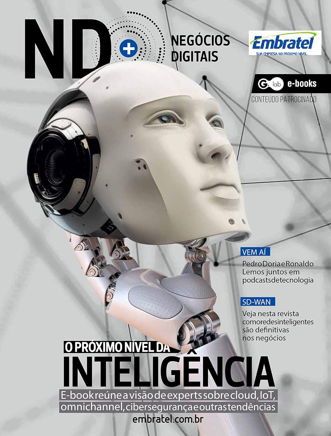 NEGÓCIOS DIGITAIS: O PRÓXIMO NÍVEL DA INTELIGÊNCIA